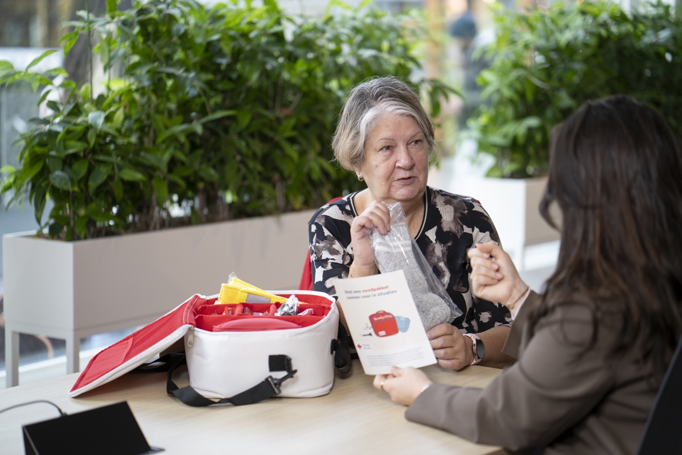 Lies van Bodegraven - 2